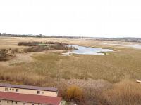 Анапа студия Алексеевка