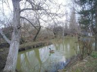 Участок с прудом в Анапе