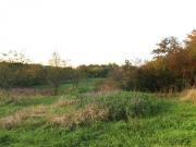 Сукко участок